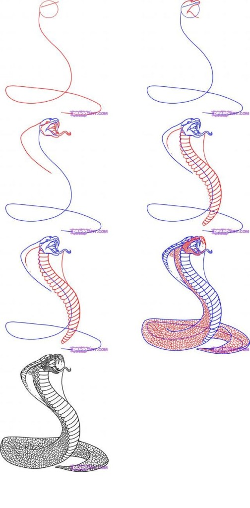 ako kresliť hada