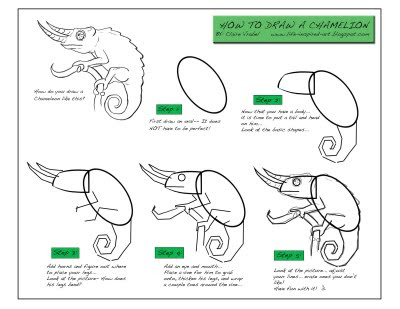 Chameleon How To