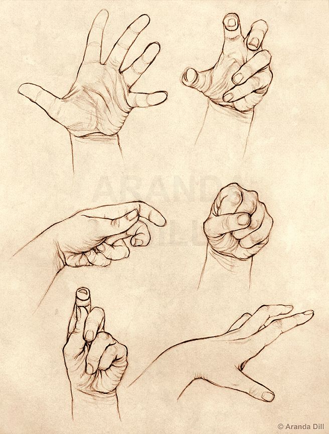kreslenie ruky. ako kresliť ruku. nauč sa kresliť ruku
