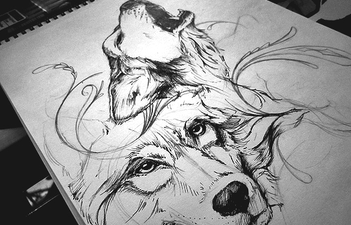 ako kreslit vlka