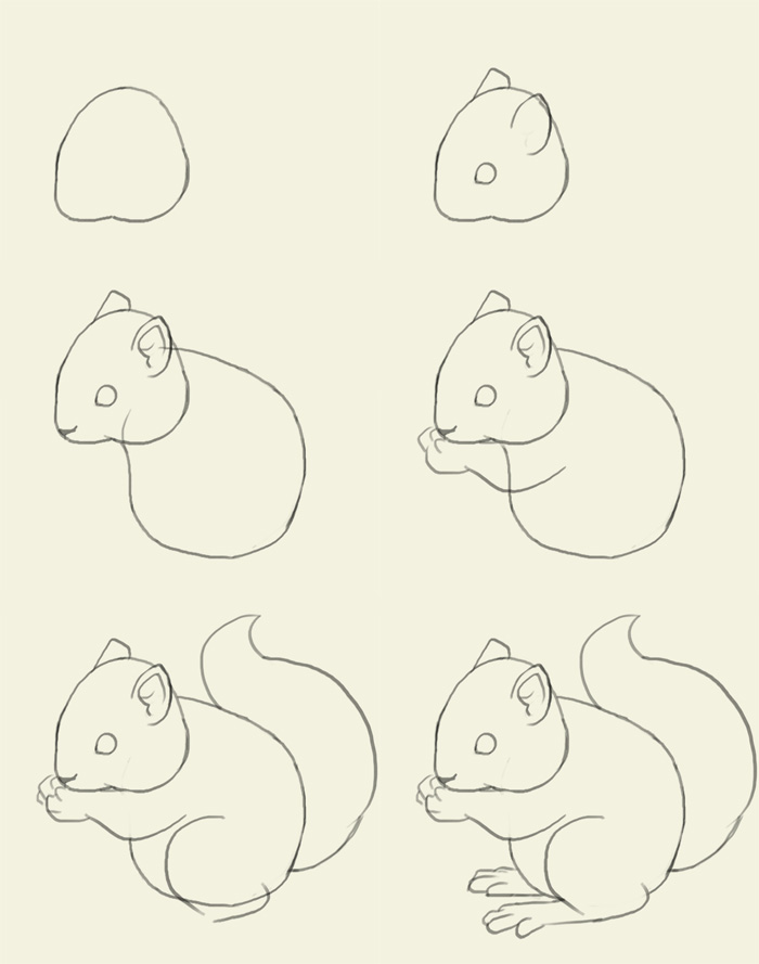how-to-draw-squirrel