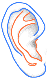 nauc sa kreslit ucho