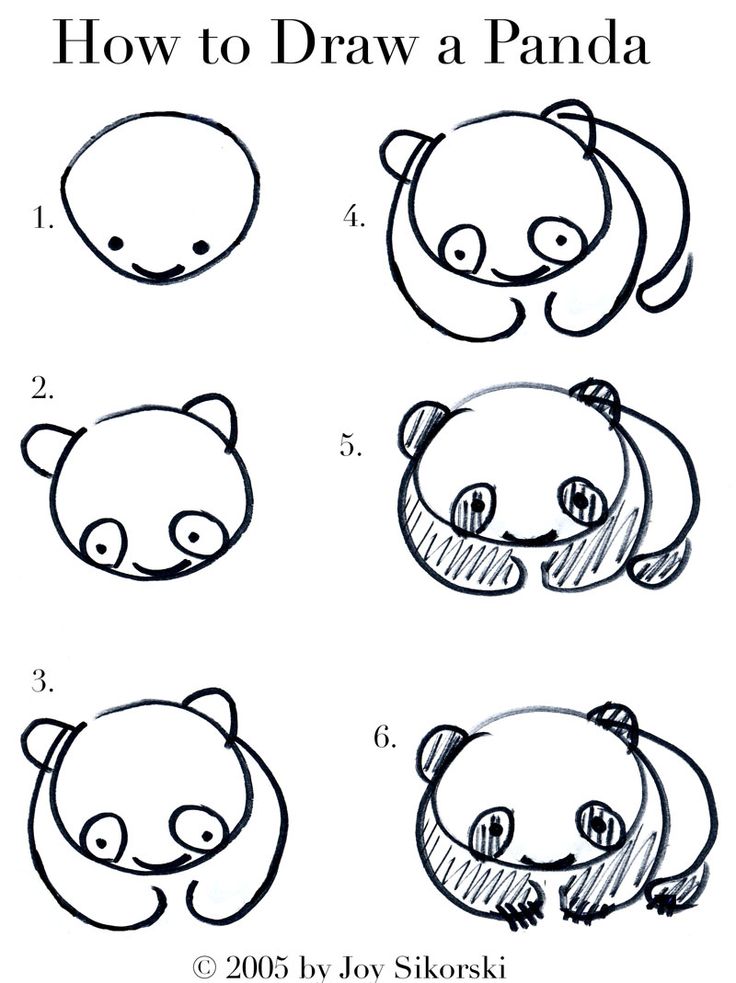 nauc sa kreslit pandu