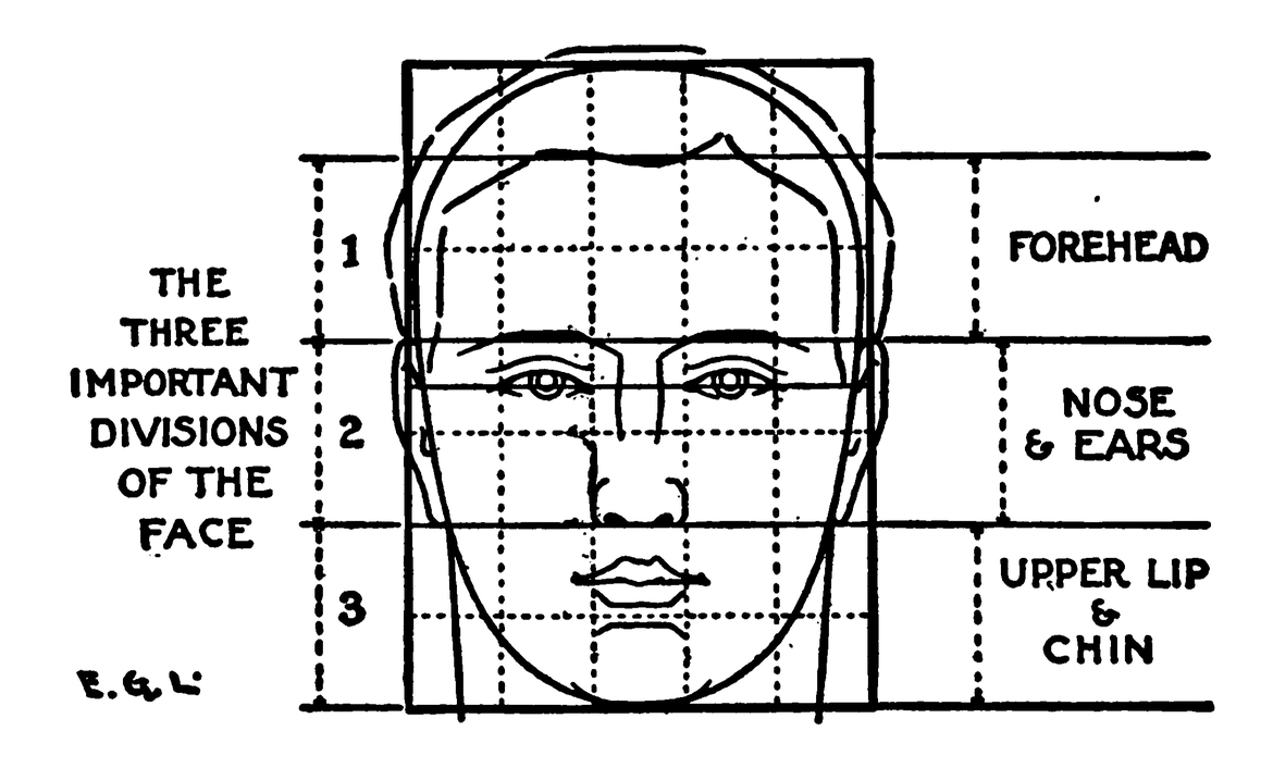 Čelný diagram tváre: tri časti od vlasovej hranice po obočie, nos a bradu